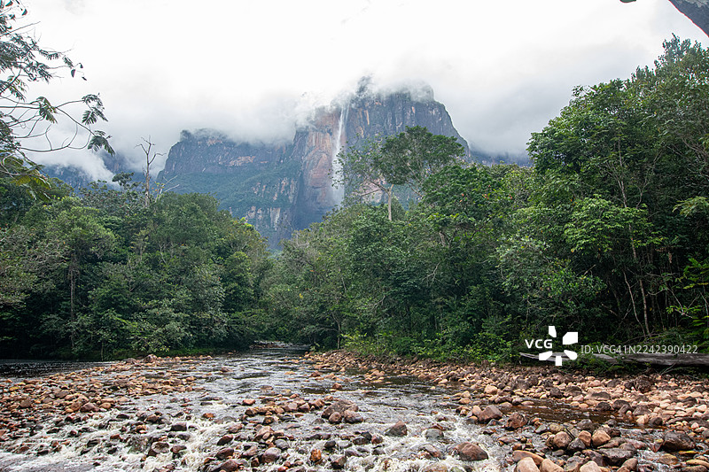 卡奈玛之心：乘库里亚拉船游览卡劳河，穿越草原，徒步雨林，抵达雄伟的特普伊山图片素材