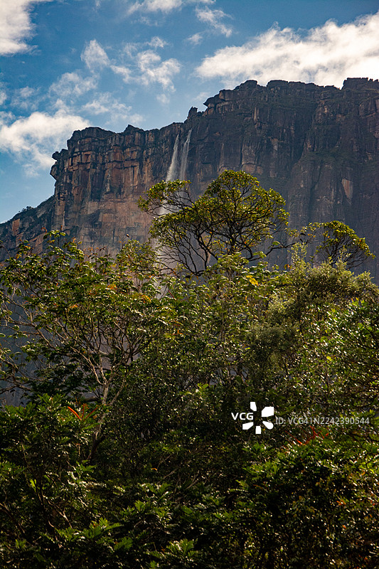 委内瑞拉卡奈玛国家公园：乘坐库里亚拉船穿越卡劳河，在草原上远足，在雨林中徒步，最终抵达雄伟的特普伊山。图片素材