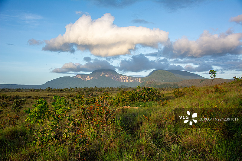 卡奈马之心：乘库里亚拉船穿越卡劳河，在热带草原中旅行，徒步穿越雨林抵达雄伟的特普伊山。图片素材