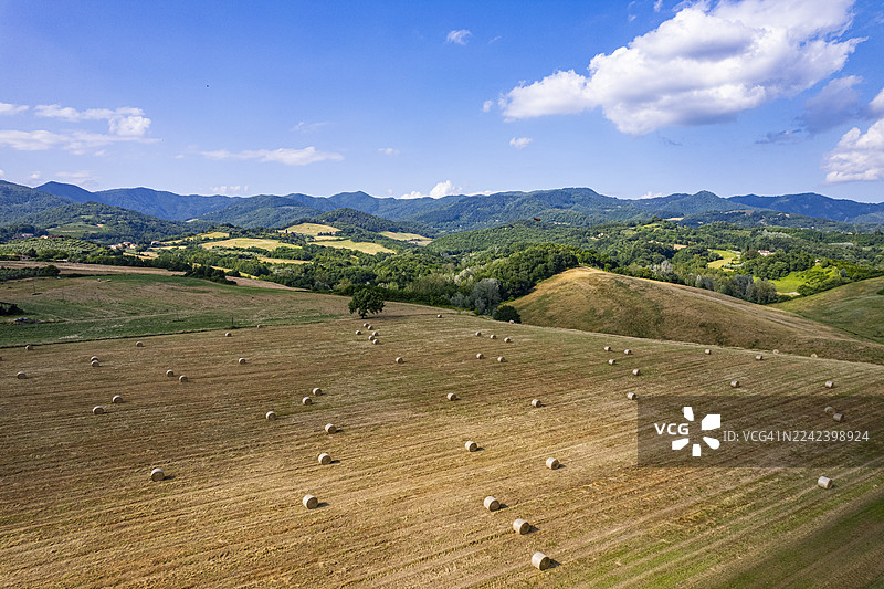 意大利托斯卡纳穆杰洛地区夏季风光图片素材