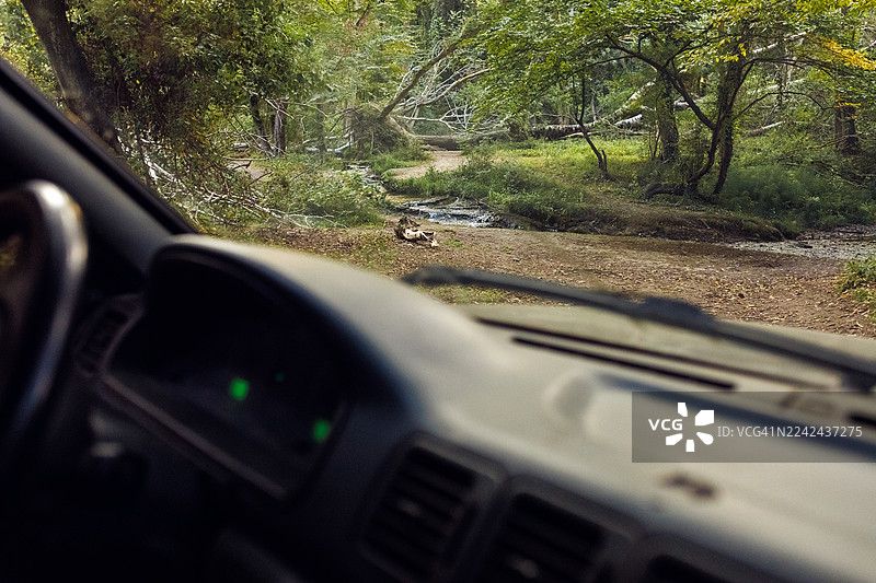汽车内部视角，看向森林溪流，有倒下的树木和宁静的探险场景图片素材