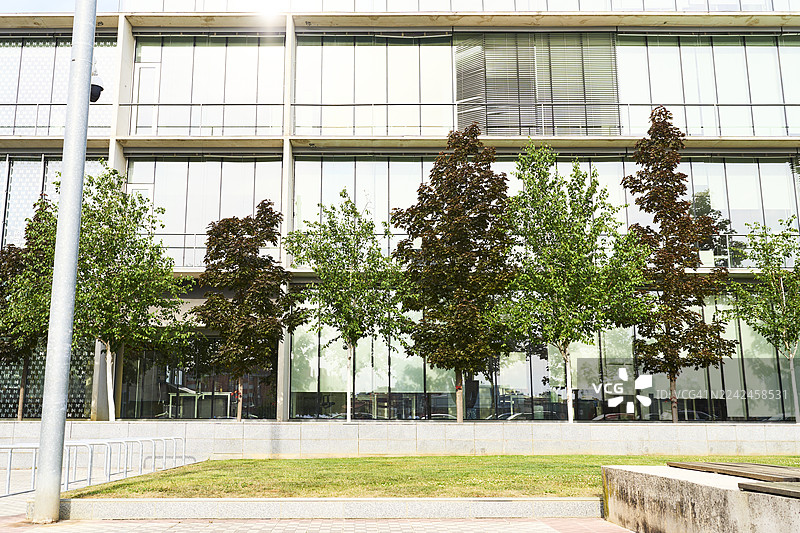 带树木和玻璃窗的现代办公楼外观图片素材