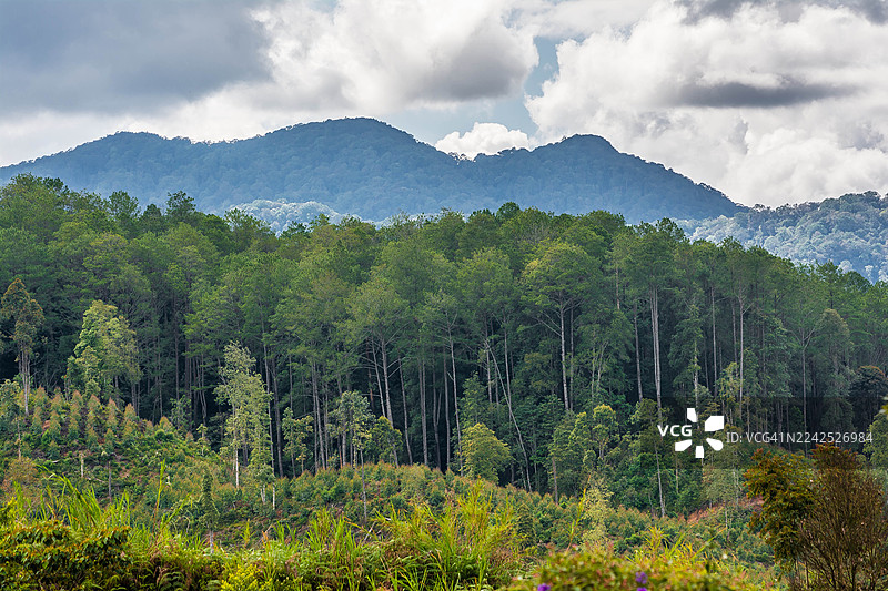 印度尼西亚北苏门答腊省卡罗兰的西布阿腾山峰图片素材