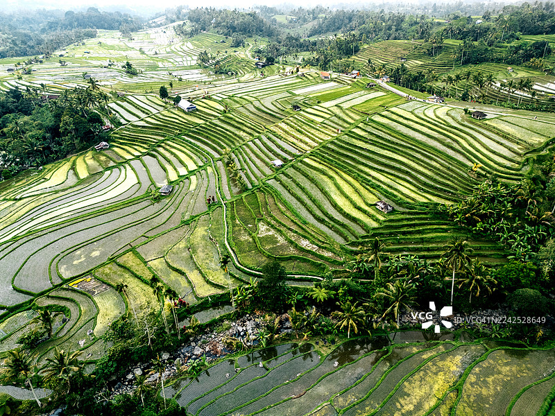 印度尼西亚巴厘岛塔巴南的 Jatiluwih 稻田梯田，航拍视角图片素材