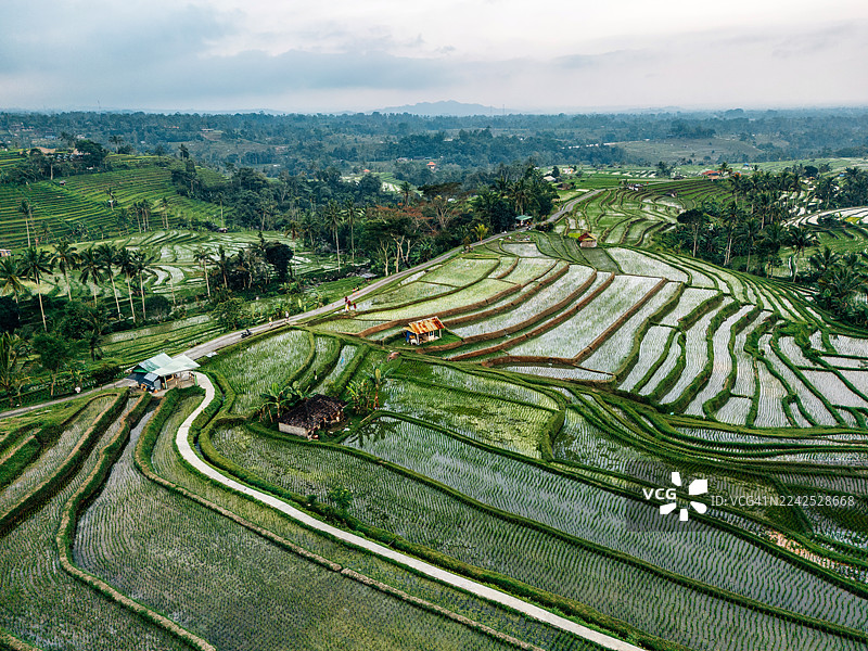 印度尼西亚巴厘岛塔巴南的贾蒂卢威梯田图片素材