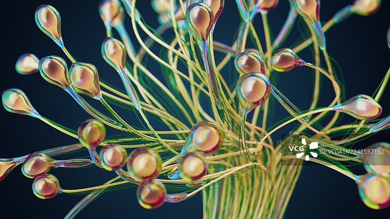 深蓝色背景下抽象植物根系特写，带有霓虹灯丝图片素材