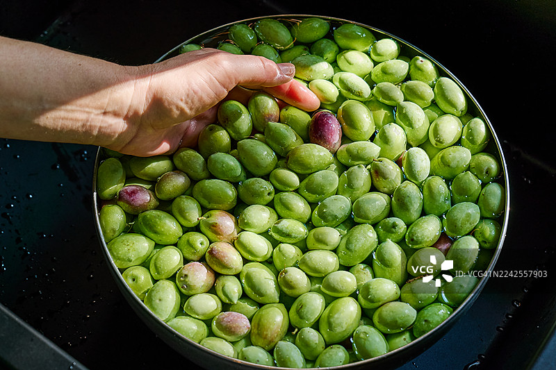 女人在厨房水槽里洗绿色橄榄的双手图片素材