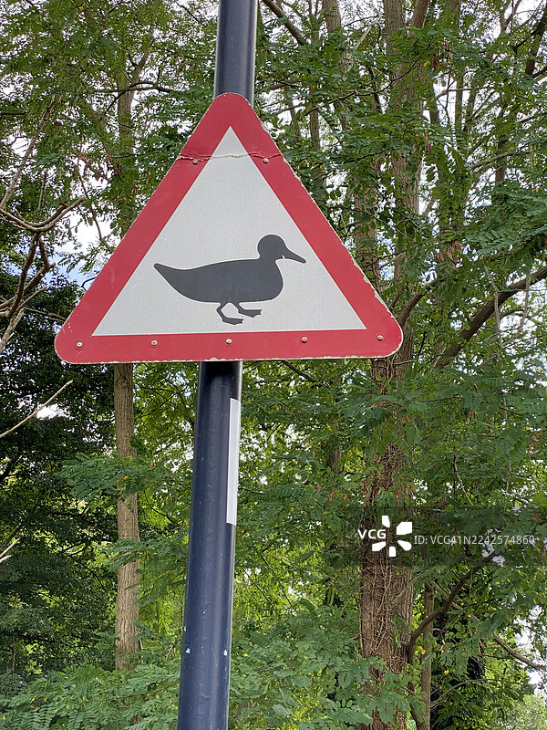 当心鸭子标志图片素材