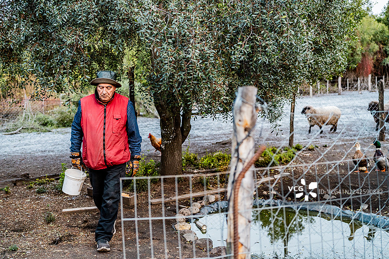 阿根廷圣马丁德洛斯安第斯地区，一位年长的农民在农场劳作图片素材