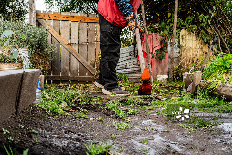 阿根廷圣马丁德洛斯安第斯地区农夫在农场收获蔬菜图片素材