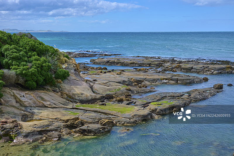 新西兰南岛但尼丁地区卡特林斯海岸,岩石海岸,海鸟,悬崖,蓝色大海,多云天空,平静的海水,沙格角瞭望台,沙格角,帕默斯顿,奥塔哥图片素材