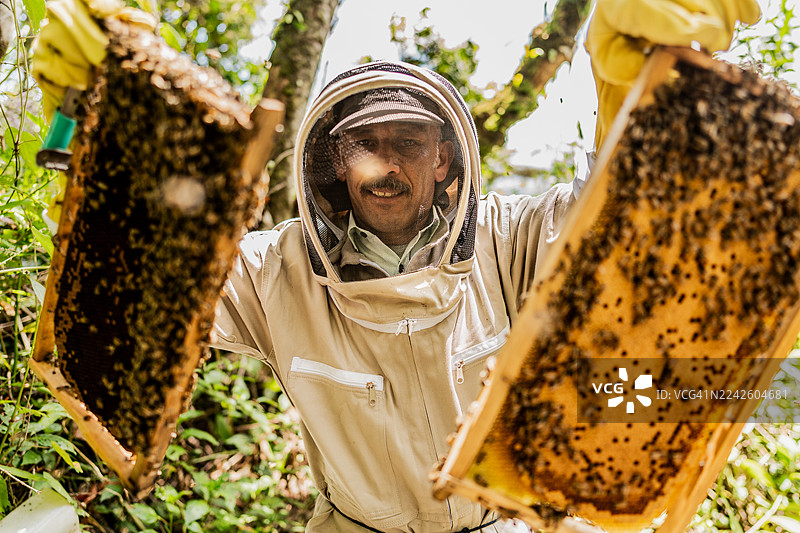 养蜂人正在蜂场工作的肖像图片素材