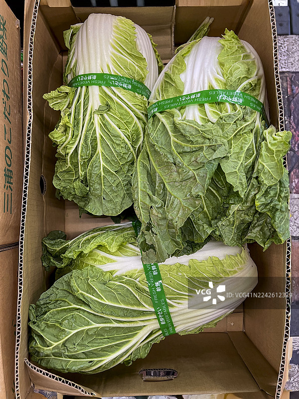 箱子里的新鲜大白菜图片素材