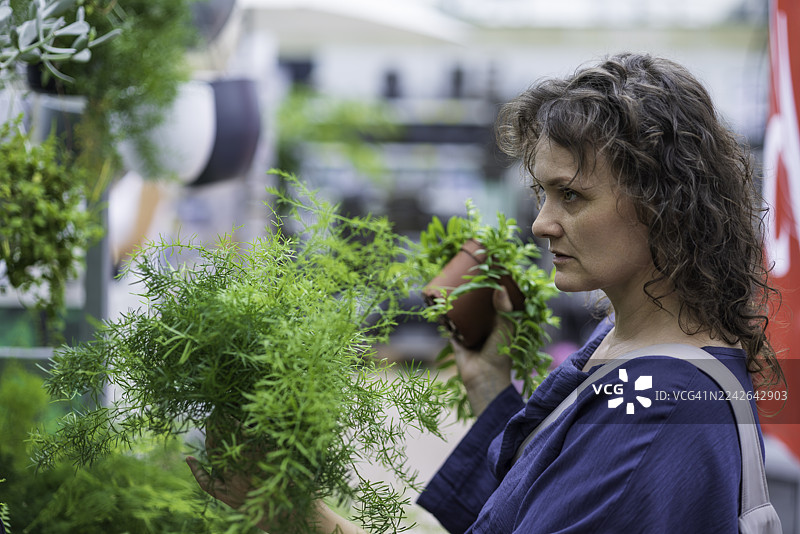 一位女士在园艺中心检查新鲜香草，手持盆栽。图片素材