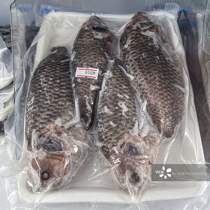 冷冻攀鲈鱼，已清洗干净，产自越南图片素材