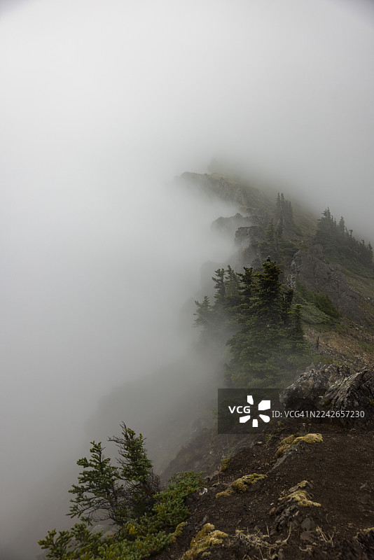 华盛顿州安吉利斯港飓风岭徒步图片素材