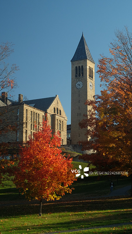 秋天的康奈尔大学麦格劳塔校园图片素材
