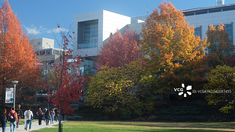 秋季康奈尔大学校园杜菲尔德厅图片素材