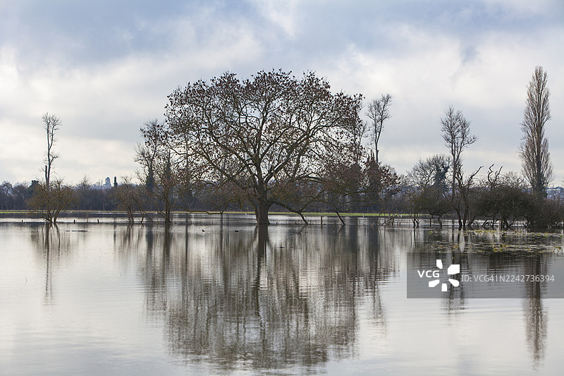 水淹的怀德布鲁克公园图片素材