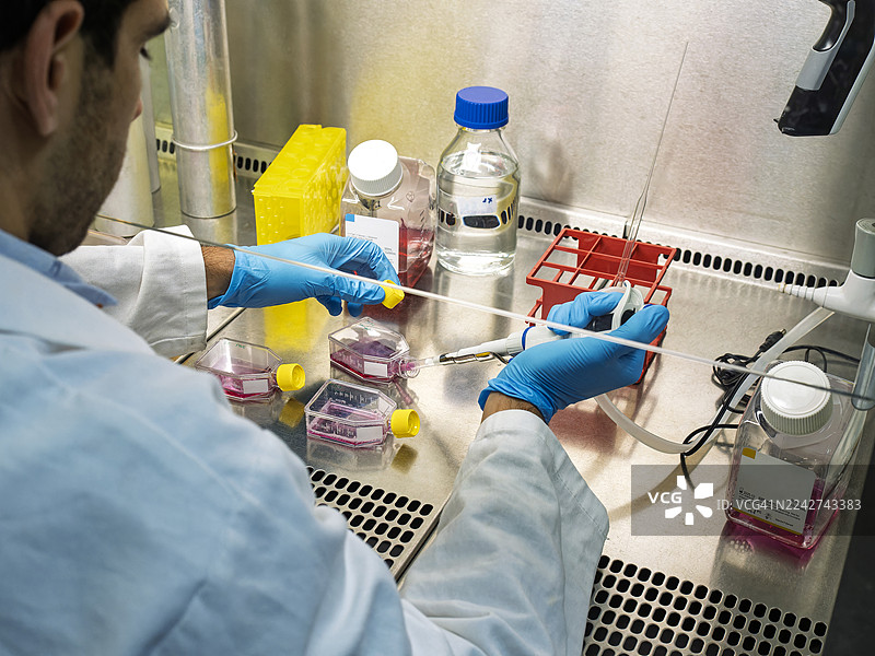科学家在超净工作台中进行一项涉及人体细胞培养的实验。图片素材