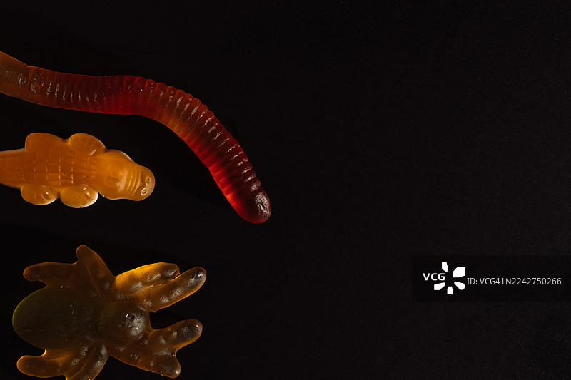 黑色背景上的橡皮糖虫和鳄鱼图片素材