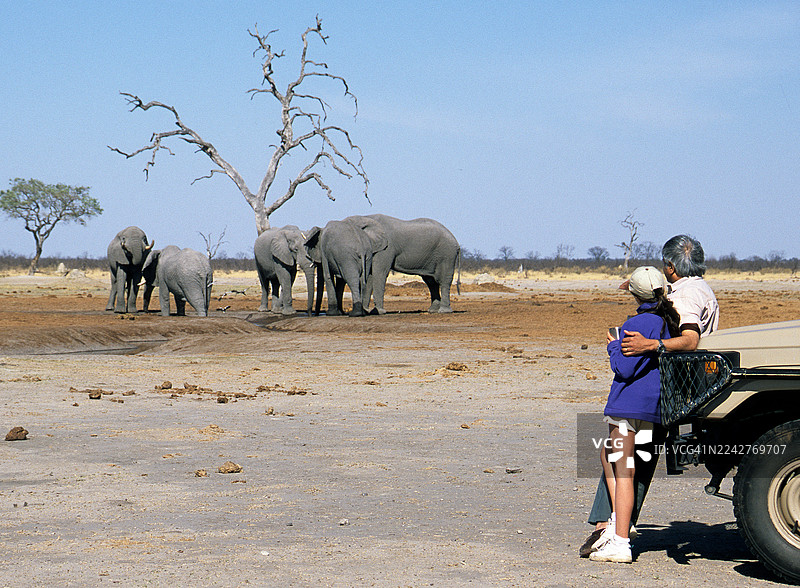 从侧面看，一位父亲和女儿在博茨瓦纳的野生动物园，靠在一辆四驱车旁观看一群大象。图片素材