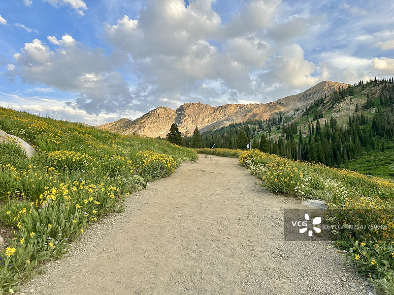 夏季，美国犹他州，小科顿伍德峡谷，阿尔塔，穿过山区的土路图片素材