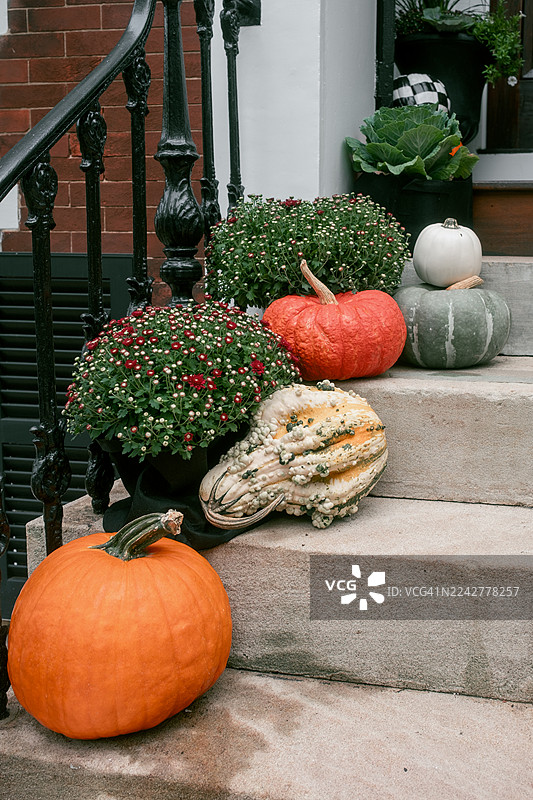 房屋前阶上的南瓜、葫芦和盆栽菊花图片素材