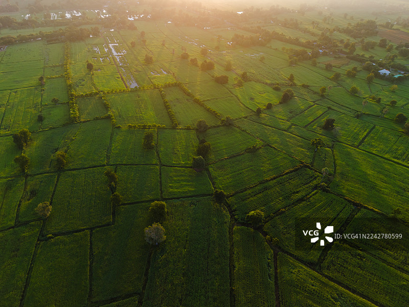 日出时分绿色农田的鸟瞰图图片素材