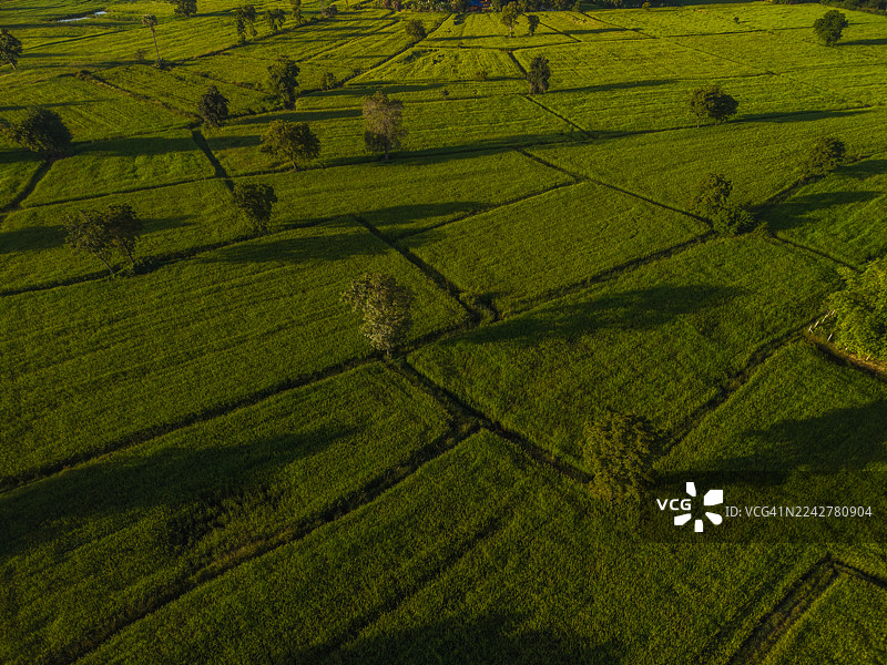 日出阴影从绿色农田上空掠过的鸟瞰图图片素材