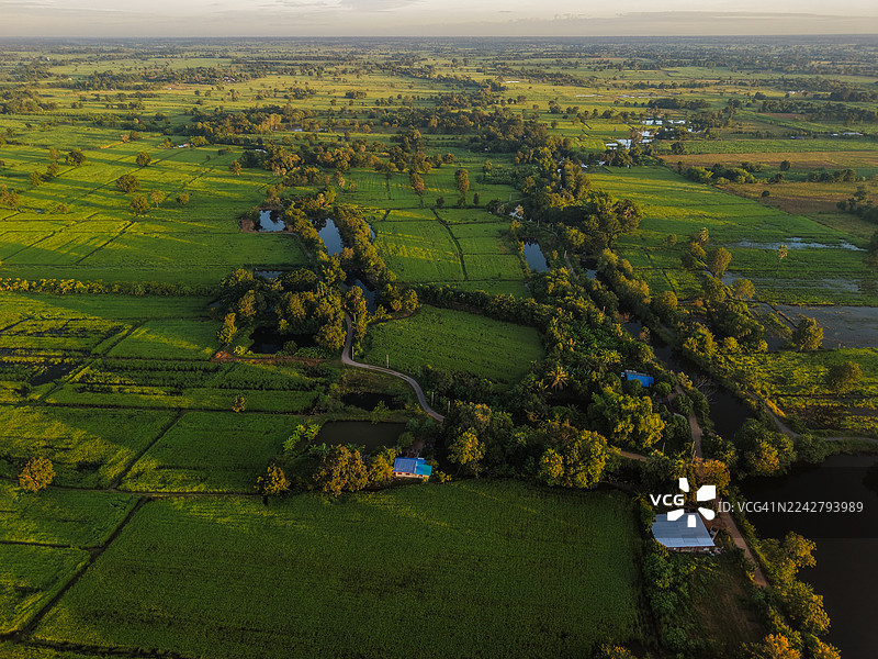 日出时农村农田的鸟瞰图图片素材