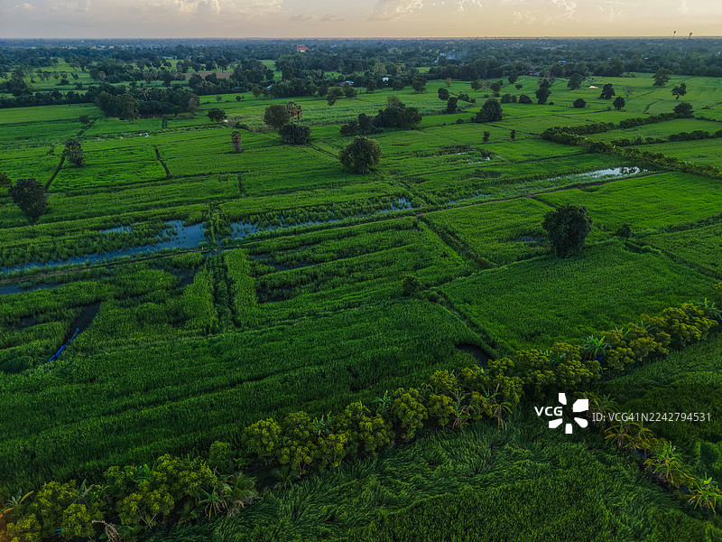 傍晚时分，广阔的农田风光航拍图片素材