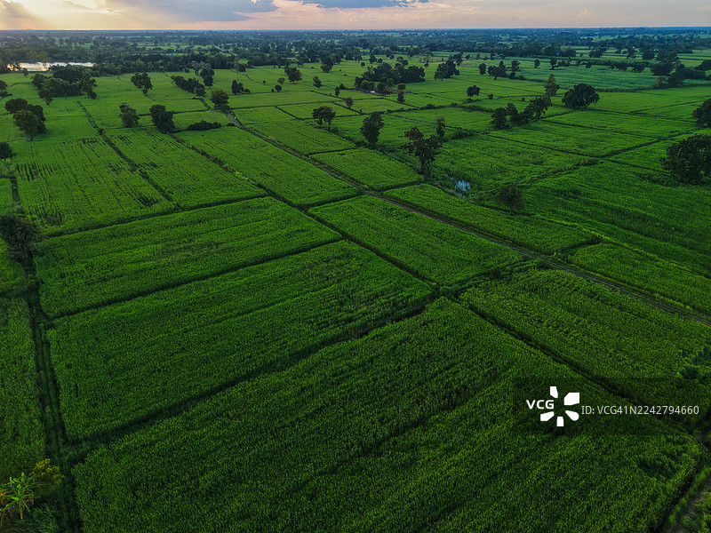 日落时分广阔的农田航拍景观图片素材