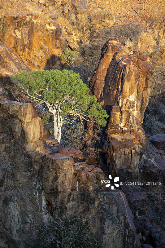 纳米比亚 Kaokoveld 地区岩石斜坡上的绿树与日落图片素材