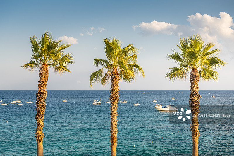 意大利普利亚地区，平静的蓝海上有三棵棕榈树和几艘船图片素材