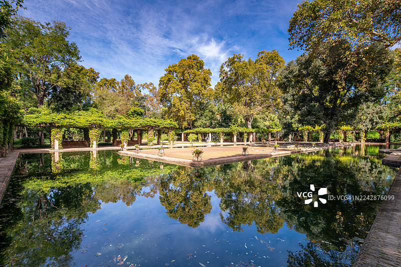 碧绿的树木在宁静的湖水中映出美丽的倒影，蓝天之下，构成一幅宁静的自然风光，西班牙塞维利亚图片素材