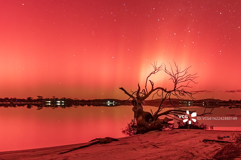 澳大利亚海登，繁星点点夜空下，静谧湖面上演着壮丽的红色日落，一棵枯树剪影伫立其中图片素材