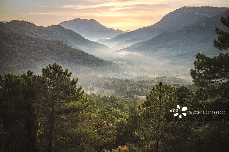 日出时壮丽的山脉，山谷弥漫着薄雾，松树林，阿尔瓦塞特，西班牙图片素材