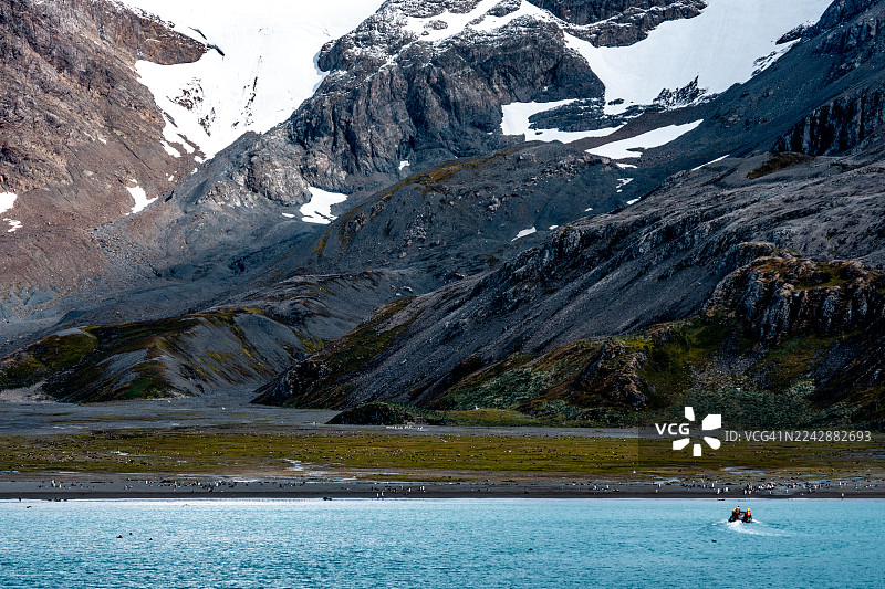 南乔治亚岛右鲸湾附近崎岖海岸的黄道带图片素材