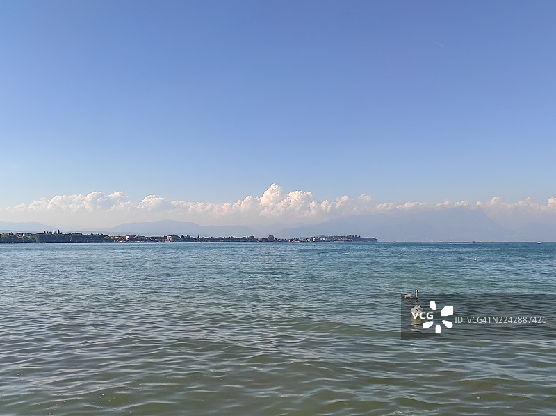 宁静的湖景，远眺海岸线与天鹅，蓝天下的锡尔苗内，意大利，圣玛丽亚迪卢加纳海滩图片素材