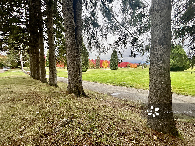 秋天的墓地图片素材