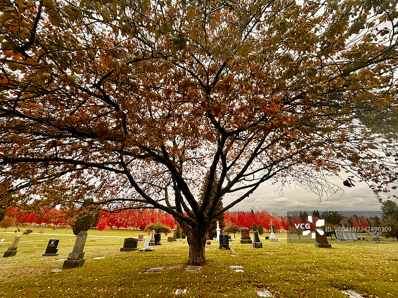 秋天的墓地图片素材
