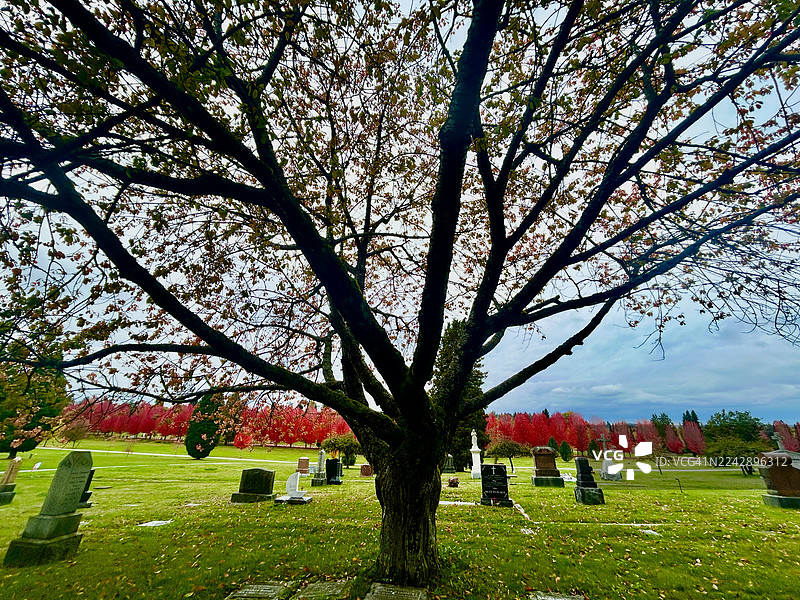 秋季的墓地图片素材