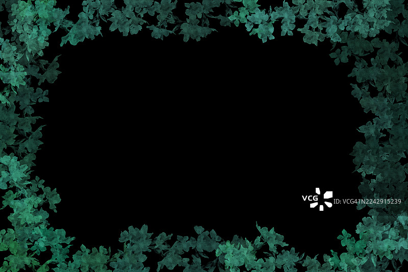 黑色背景上带有绿色花朵和叶子的抽象水彩花卉边框。图片素材