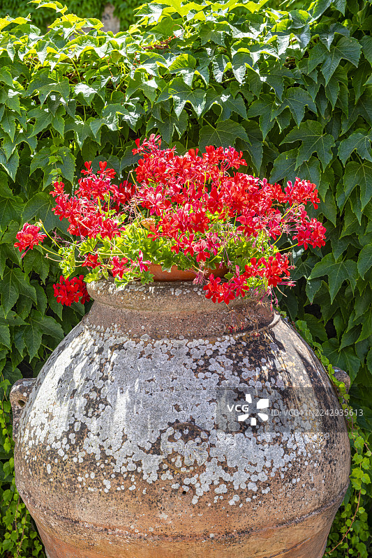 意大利托斯卡纳，陶罐图片素材