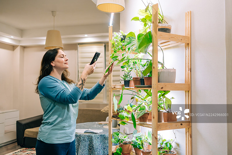 女子在室内植物生长灯架上用手机拍摄室内植物图片素材