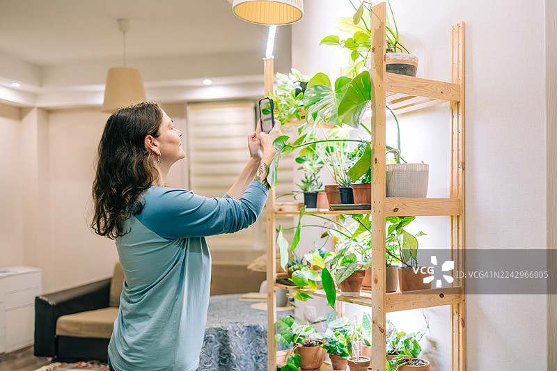 女子用手机对着室内植物生长灯架上的盆栽拍照图片素材