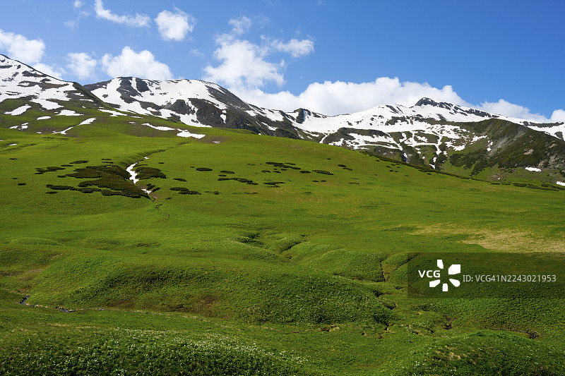 佐卡里山口，斯瓦涅季，大高加索，高加索山脉，格鲁吉亚，蓝天下白雪皑皑的山峰绿色景观图片素材