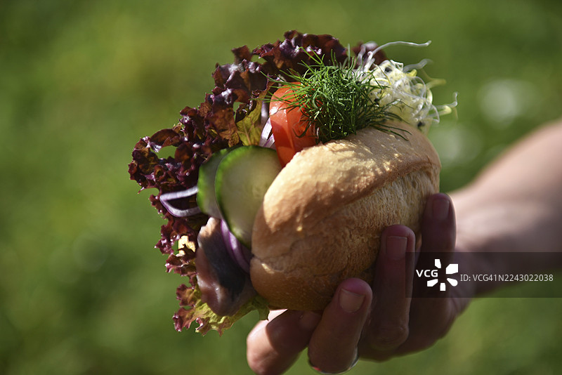 鲱鱼卷，俾斯麦卷，鱼肉卷图片素材