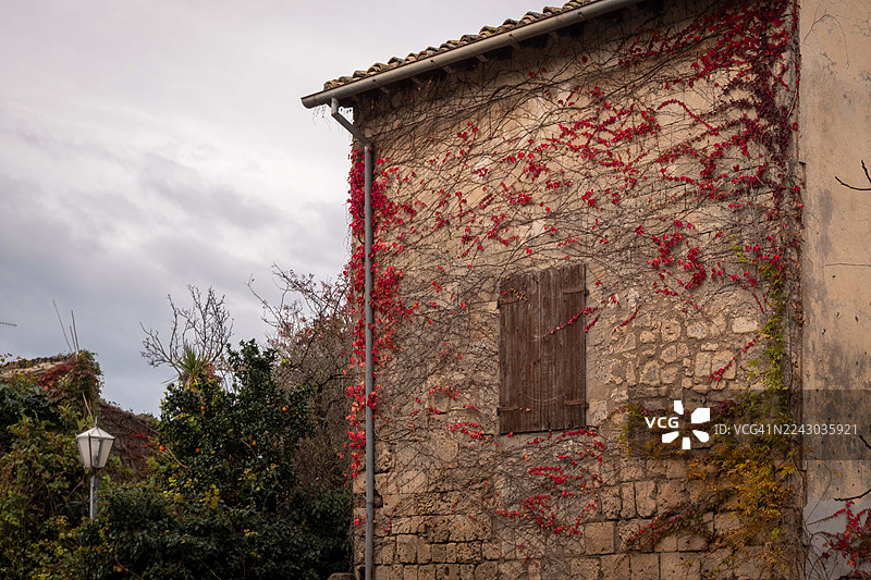阴云密布的天空下，古老的石头建筑被鲜红的常春藤覆盖图片素材